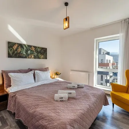 Mohost Bobby - Right In The Mood Brasov