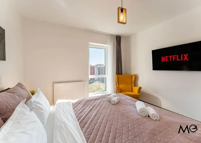 Mohost Bobby - Right In The Mood Brasov