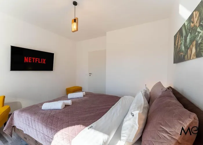 Mohost Bobby - Right In The Mood Brasov