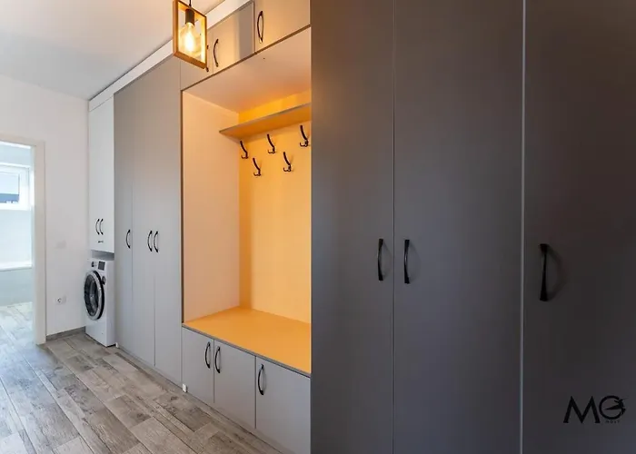 Mohost Bobby - Right In The Mood Brasov