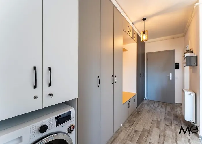 Mohost Bobby - Right In The Mood Apartment