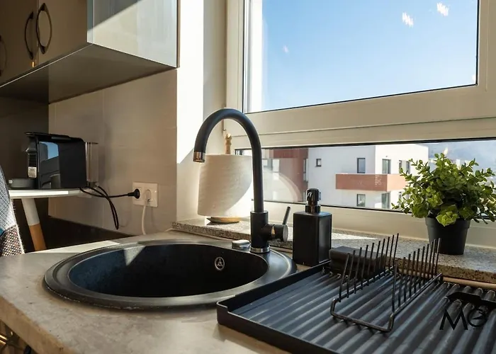 Mohost Bobby - Right In The Mood Apartment *